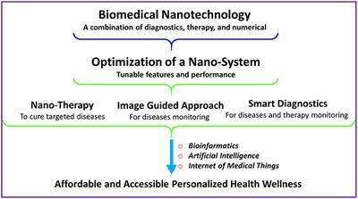 Biomedical Nanotechnology Related Grand Challenges and Perspectives